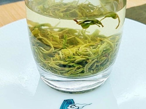 2023綠茶聯賽，江西隊出戰之狗牯腦茶登場