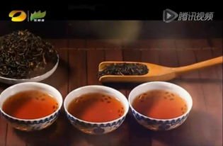 潤元昌柑普茶 湖南廣電茶頻道傾情推薦，品味地道茶香